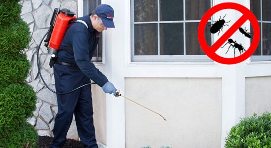 Pazar Gümüşkurt İlaçlama böcek ilaçlama ve haşere kontrolü — ilaclama-tr.com